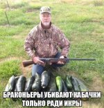 orig1.jpg