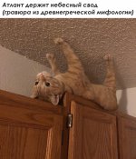 62757558_original.jpg