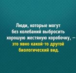 63071109_original.jpg