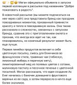 IMG_9995.jpeg
