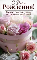 IMG_3144.jpeg