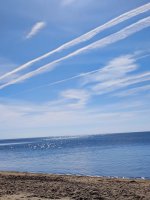 IMG_20250307_205848.jpg