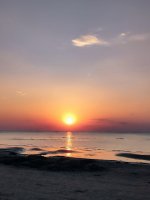 IMG_20250307_210743.jpg