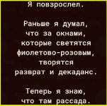 image (2118).png