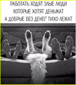 image (2564).png