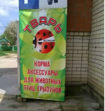 63445928_original.png