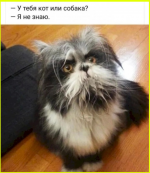 image (3612).png