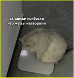 image (4589).png