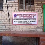натура.jpg