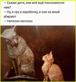 image (5557).png