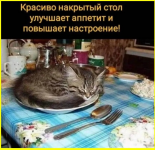image (5826).png