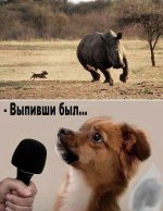 6ec266c2246d9e05d1bbbbd5153857df.jpg