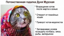 8783027_original.png