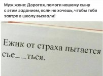 ежик.jpg