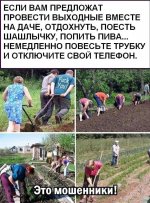 дача.jpg