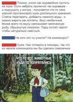 Пионеры.jpg