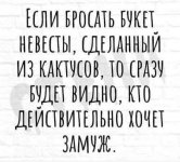 64094301_original.jpg