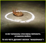 image (1069).png