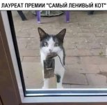 ленивый.jpg