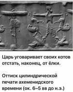 64218204_original.jpg