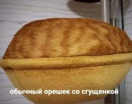 64218585_original.jpg