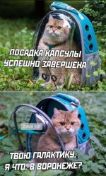 64219673_original (1).jpg