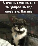 64220950_original.jpg