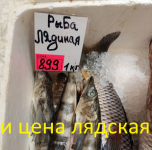 1744367878.png