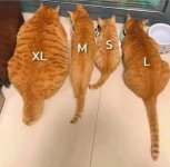 1744611095.jpg