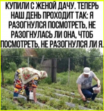 image (3200).png