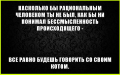 image (3274).png