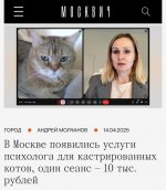 котячий психолог.jpg