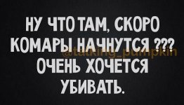 комары.jpg