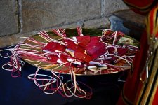 IMG_1079.jpeg