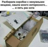 max_g480_c12_r4x3_pd10 (3)_result.jpg