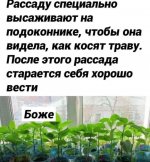 33a4c1526a_19944396.jpg