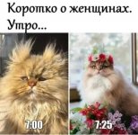 3b0b2ed62f_19946966.jpg