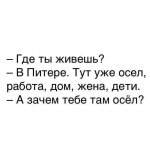 64490810_original.jpg