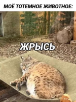 1745147639352.png