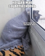 1745327890228.png