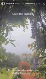 IMG_1226.jpeg