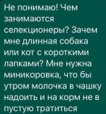 64753420_original.jpg