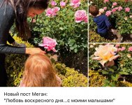 IMG_1342.jpeg