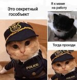 dobryj-yumor_34736.jpg