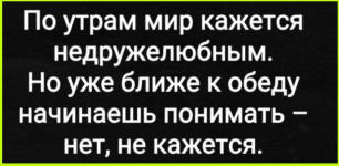 image (5313).png