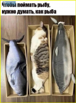 image (5567).png