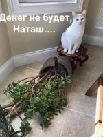 IMG_20250504_131938.jpg