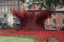 gettyimages-2213727787-612x612.jpg