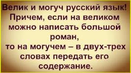 image (1590).png
