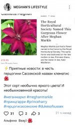 Screenshot_20250511_092041_com.vkontakte.android_edit_234211218784976.jpg